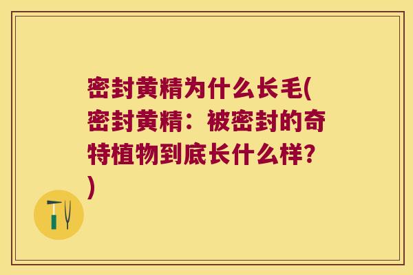 密封黄精为什么长毛(密封黄精:被密封的奇特植物到底长什么样?) 密封黄精为什么长毛(密封黄精:被密封的奇特植物到底长什么样?)