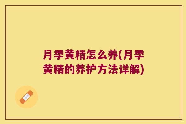 月季黄精怎么养(月季黄精的养护方法详解) 月季黄精怎么养(月季黄精的养护方法详解)