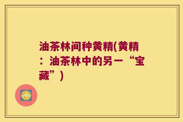 油茶林间种黄精(黄精：油茶林中的另一“宝藏”)