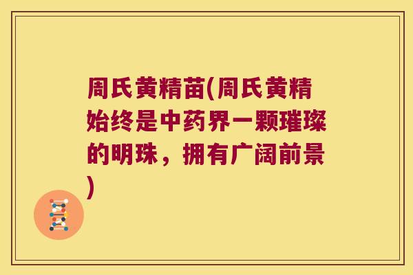 周氏黄精苗(周氏黄精始终是界一颗璀璨的明珠，拥有广阔前景)