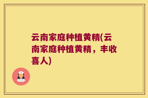 云南家庭种植黄精(云南家庭种植黄精,丰收喜人) 云南家庭种植黄精(云南家庭种植黄精,丰收喜人)