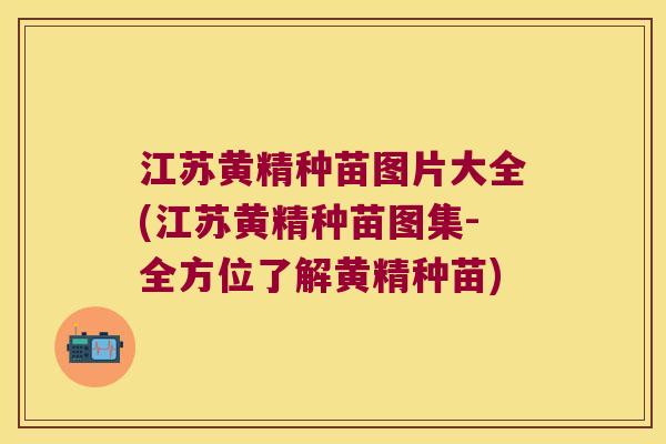 江苏黄精种苗图片大全(江苏黄精种苗图集-全方位了解黄精种苗) 江苏黄精种苗图片大全(江苏黄精种苗图集-全方位了解黄精种苗)
