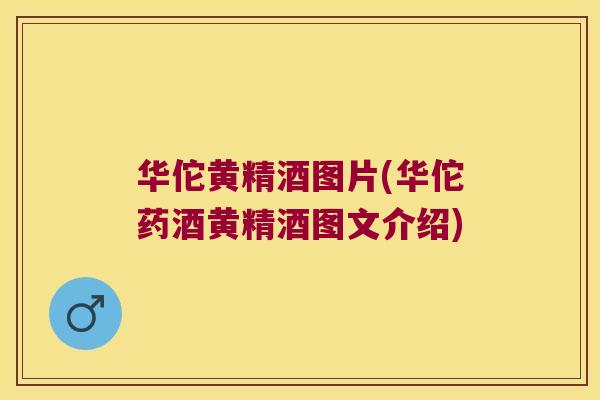 华佗黄精酒图片(华佗药酒黄精酒图文介绍)