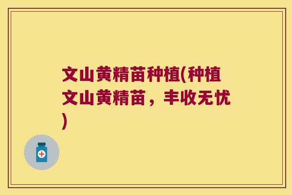 文山黄精苗种植(种植文山黄精苗,丰收无忧) 文山黄精苗种植(种植文山黄精苗,丰收无忧)