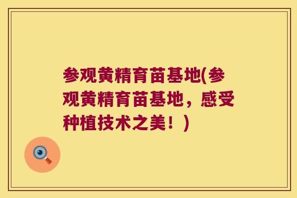 参观黄精育苗基地(参观黄精育苗基地,感受种植技术之美!) 参观黄精育苗基地(参观黄精育苗基地,感受种植技术之美!)