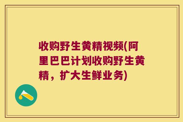 收购野生黄精视频(阿里巴巴计划收购野生黄精，扩大生鲜业务)