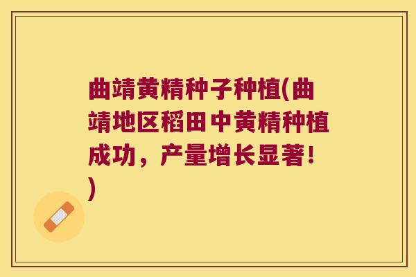 曲靖黄精种子种植(曲靖地区稻田中黄精种植成功,产量增长显著!) 曲靖黄精种子种植(曲靖地区稻田中黄精种植成功,产量增长显著!)