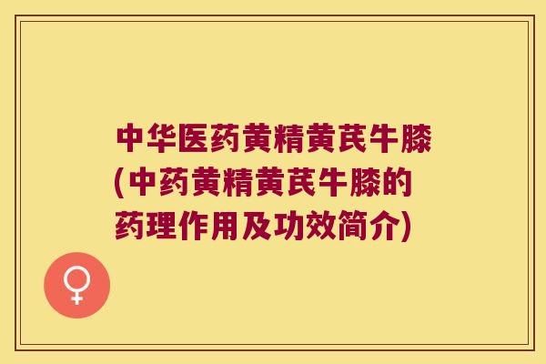 中华医药黄精黄芪牛膝(黄精黄芪牛膝的药理作用及功效简介)