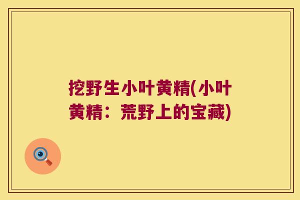 挖野生小叶黄精(小叶黄精：荒野上的宝藏)