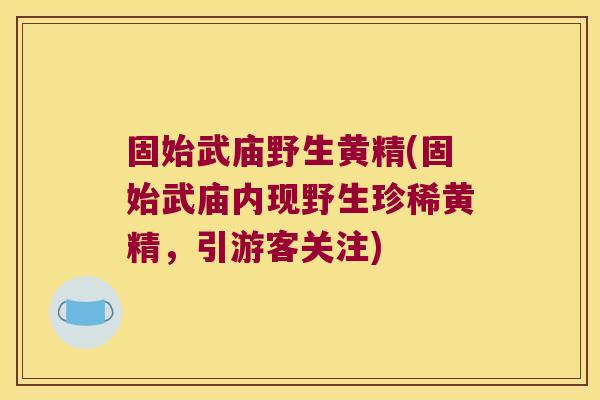 固始武庙野生黄精(固始武庙内现野生珍稀黄精，引游客关注)