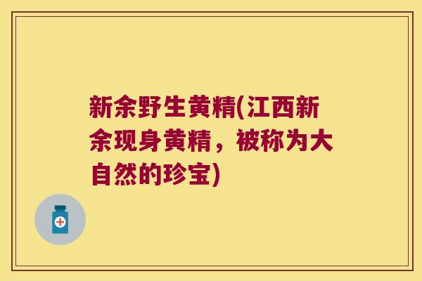 新余野生黄精(江西新余现身黄精,被称为大自然的珍宝) 新余野生黄精(江西新余现身黄精,被称为大自然的珍宝)