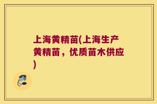 上海黄精苗(上海生产黄精苗，优质苗木供应)
