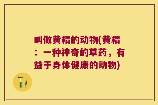 叫做黄精的动物(黄精:一种神奇的草药,有益于身体健康的动物) 叫做黄精的动物(黄精:一种神奇的草药,有益于身体健康的动物)