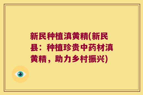 新民种植滇黄精(新民县：种植珍贵材滇黄精，助力乡村振兴)
