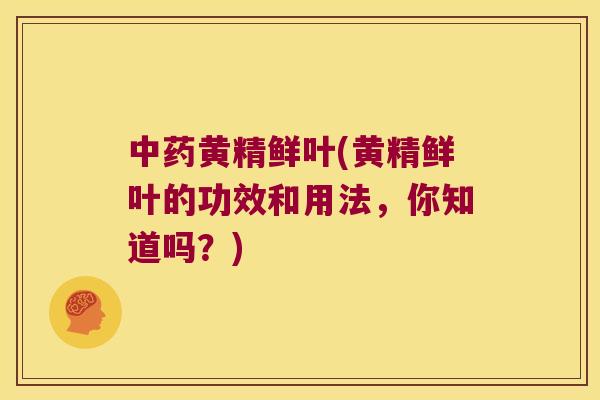 黄精鲜叶(黄精鲜叶的功效和用法，你知道吗？)