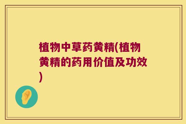 植物中草药黄精(植物黄精的药用价值及功效) 植物中草药黄精(植物黄精的药用价值及功效)