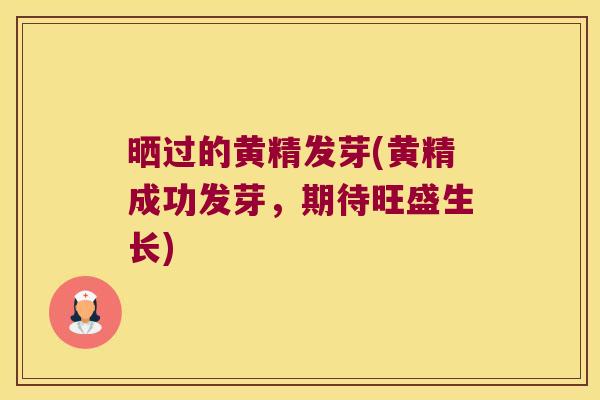 晒过的黄精发芽(黄精成功发芽,期待旺盛生长) 晒过的黄精发芽(黄精成功发芽,期待旺盛生长)