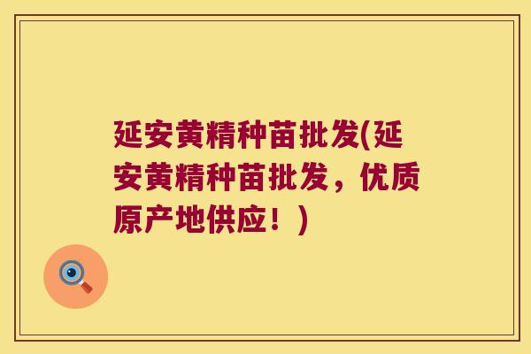 延安黄精种苗批发(延安黄精种苗批发,优质原产地供应!) 延安黄精种苗批发(延安黄精种苗批发,优质原产地供应!)