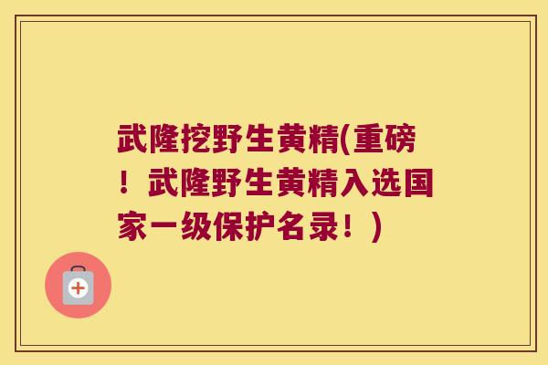 武隆挖野生黄精(重磅!武隆野生黄精入选国家一级保护名录!) 武隆挖野生黄精(重磅!武隆野生黄精入选国家一级保护名录!)