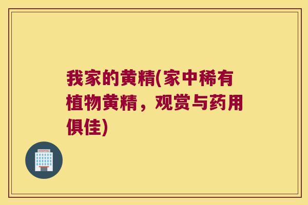 我家的黄精(家中稀有植物黄精,观赏与药用俱佳) 我家的黄精(家中稀有植物黄精,观赏与药用俱佳)
