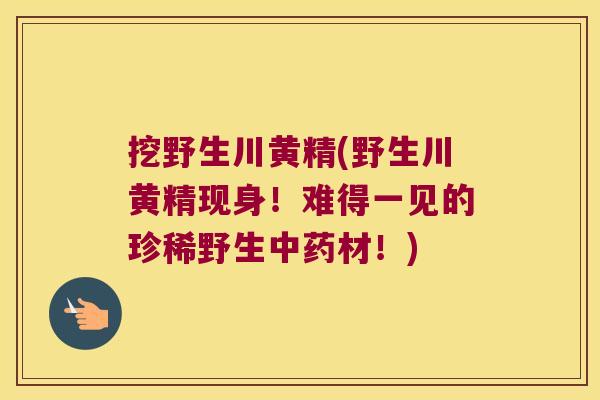 挖野生川黄精(野生川黄精现身！难得一见的珍稀野生材！)