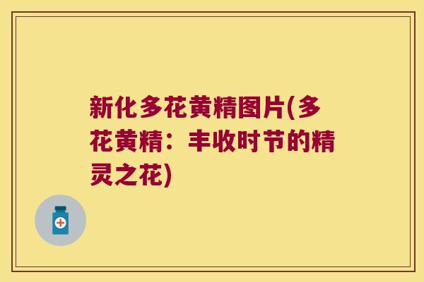 新化多花黄精图片(多花黄精：丰收时节的精灵之花)