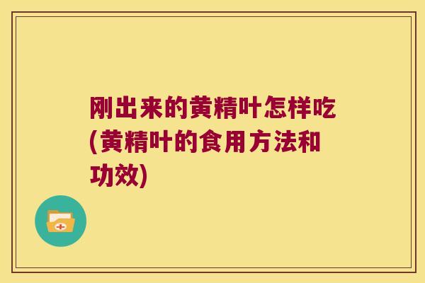 刚出来的黄精叶怎样吃(黄精叶的食用方法和功效)