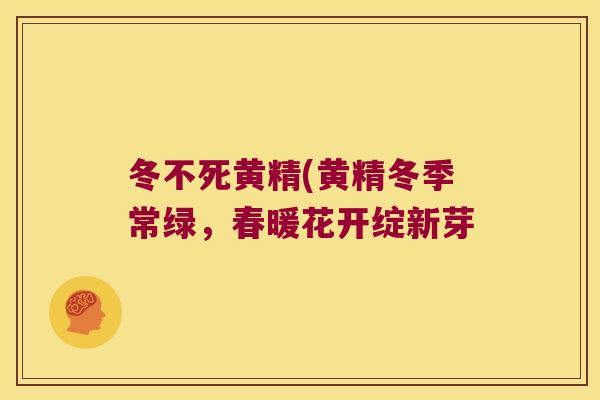 冬不死黄精(黄精冬季常绿，春暖花开绽新芽