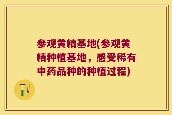 参观黄精基地(参观黄精种植基地，感受稀有品种的种植过程)