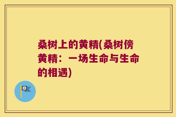 桑树上的黄精(桑树傍黄精:一场生命与生命的相遇) 桑树上的黄精(桑树傍黄精:一场生命与生命的相遇)