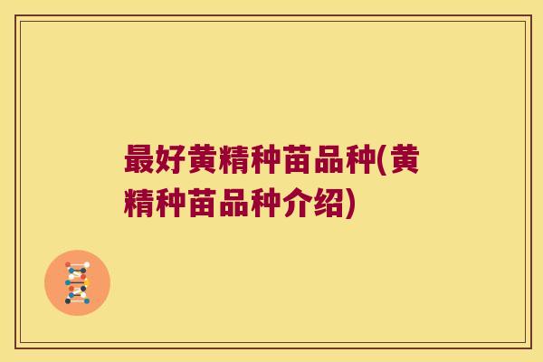 好黄精种苗品种(黄精种苗品种介绍)