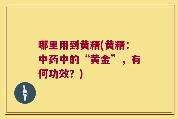 哪里用到黄精(黄精：中的“黄金”，有何功效？)