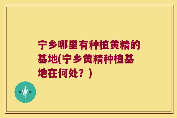宁乡哪里有种植黄精的基地(宁乡黄精种植基地在何处？)