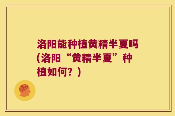 洛阳能种植黄精半夏吗(洛阳“黄精半夏”种植如何？)