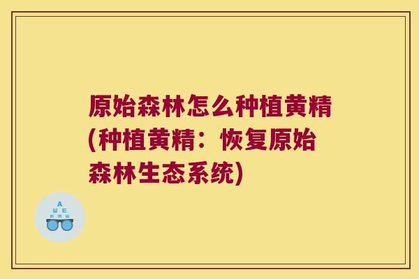 原始森林怎么种植黄精(种植黄精:恢复原始森林生态系统) 原始森林怎么种植黄精(种植黄精:恢复原始森林生态系统)