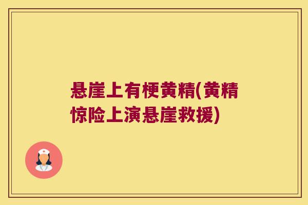 悬崖上有梗黄精(黄精惊险上演悬崖救援)