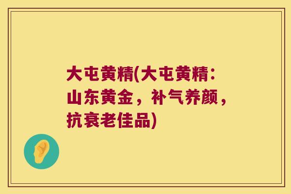 大屯黄精(大屯黄精:山东黄金,养颜,抗佳品) 大屯黄精(大屯黄精:山东黄金,养颜,抗佳品)
