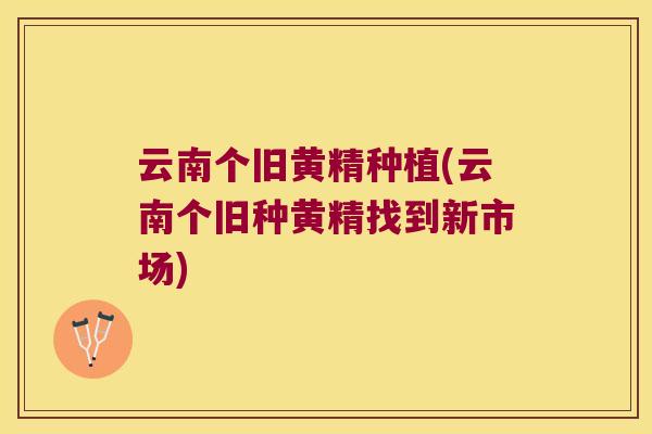云南个旧黄精种植(云南个旧种黄精找到新市场)