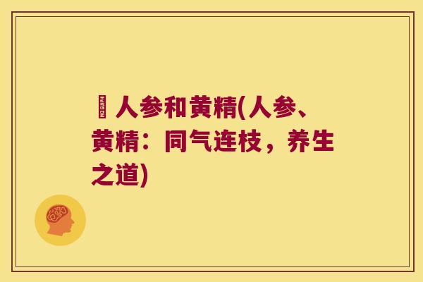 捛人参和黄精(人参、黄精：同气连枝，养生之道)