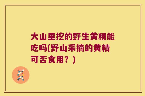 大山里挖的野生黄精能吃吗(野山采摘的黄精可否食用？)