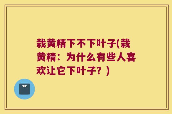 栽黄精下不下叶子(栽黄精:为什么有些人喜欢让它下叶子?) 栽黄精下不下叶子(栽黄精:为什么有些人喜欢让它下叶子?)