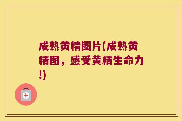 成熟黄精图片(成熟黄精图，感受黄精生命力!)