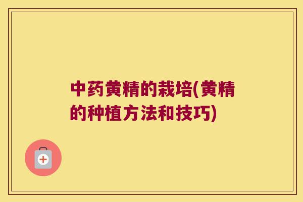 黄精的栽培(黄精的种植方法和技巧) 黄精的栽培(黄精的种植方法和技巧)