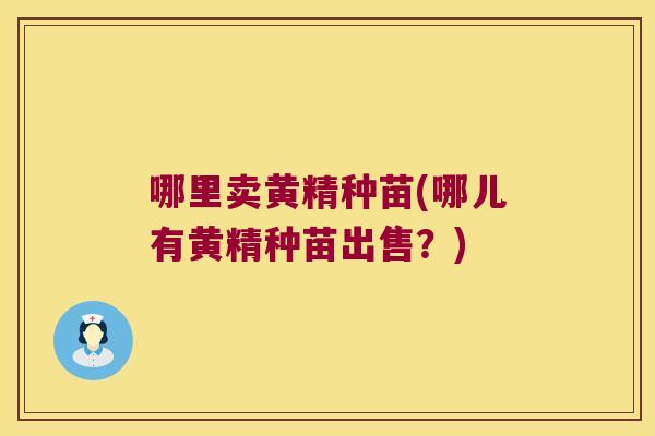 哪里卖黄精种苗(哪儿有黄精种苗出售?) 哪里卖黄精种苗(哪儿有黄精种苗出售?)