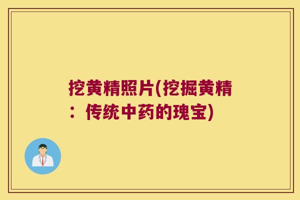 挖黄精照片(挖掘黄精:传统的瑰宝) 挖黄精照片(挖掘黄精:传统的瑰宝)