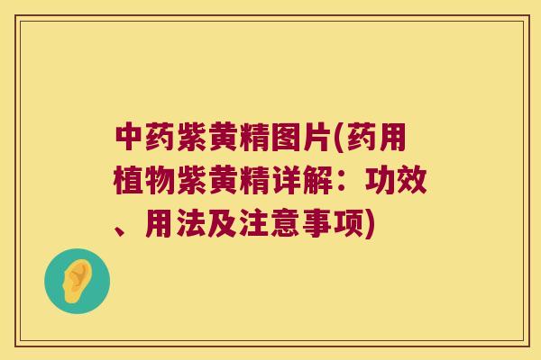 紫黄精图片(药用植物紫黄精详解：功效、用法及注意事项)