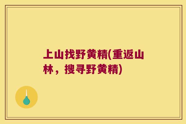 上山找野黄精(重返山林，搜寻野黄精)