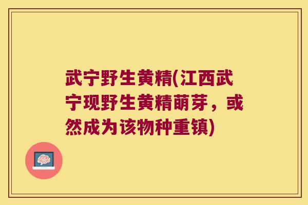 武宁野生黄精(江西武宁现野生黄精萌芽，或然成为该物种重镇)