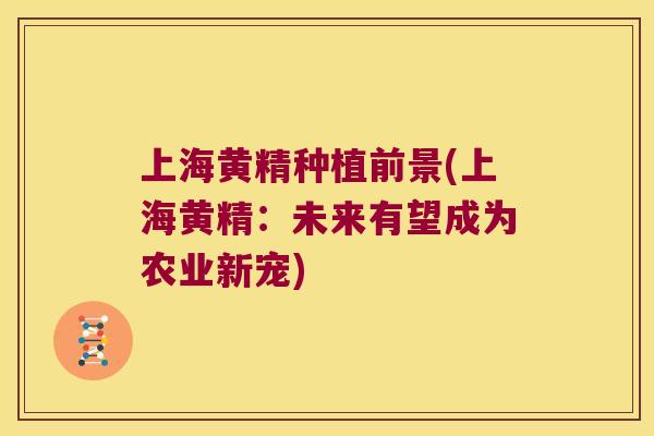 上海黄精种植前景(上海黄精：未来有望成为农业新宠)