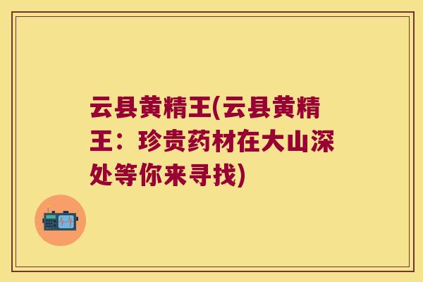 云县黄精王(云县黄精王：珍贵药材在大山深处等你来寻找)